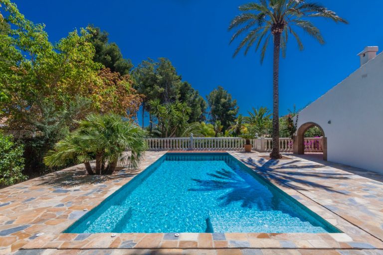 2020 BOTD04a 768x512