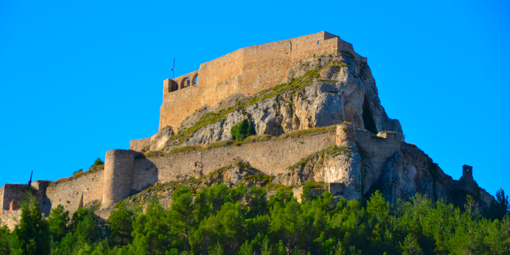 Morella