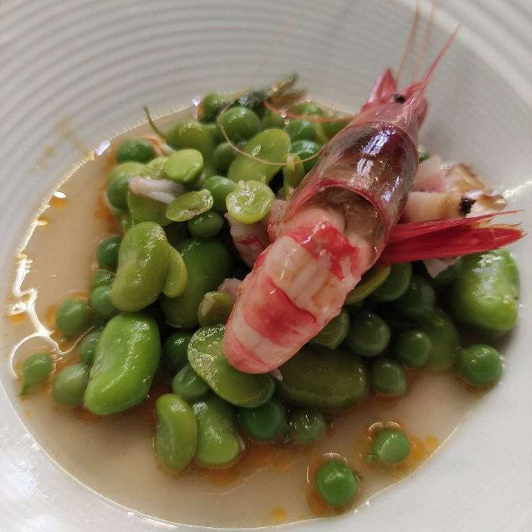 2021 BOTD 04c 1 768x768