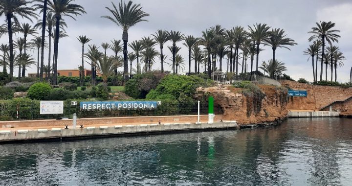 210604-6 Posidonia-1