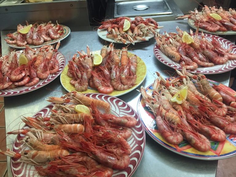 16143031 1198683550186048 7268728897681945955 n 768x576