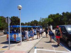 15-Bus Granadella