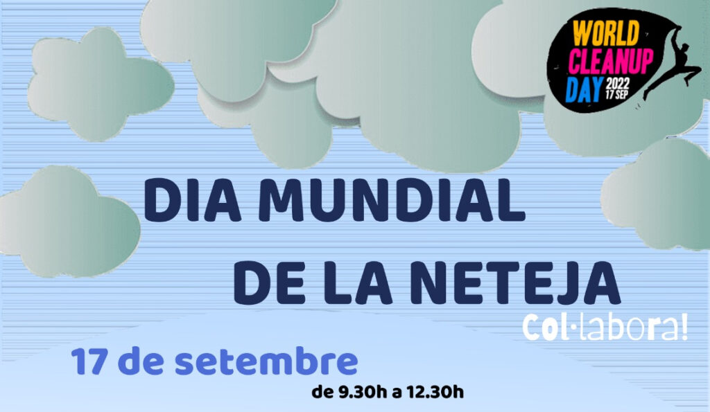 DIA NETEJA2