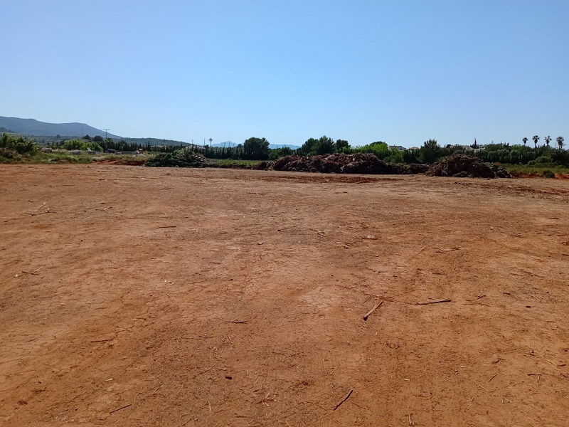 plantatransferenciaCatarrogesXabia