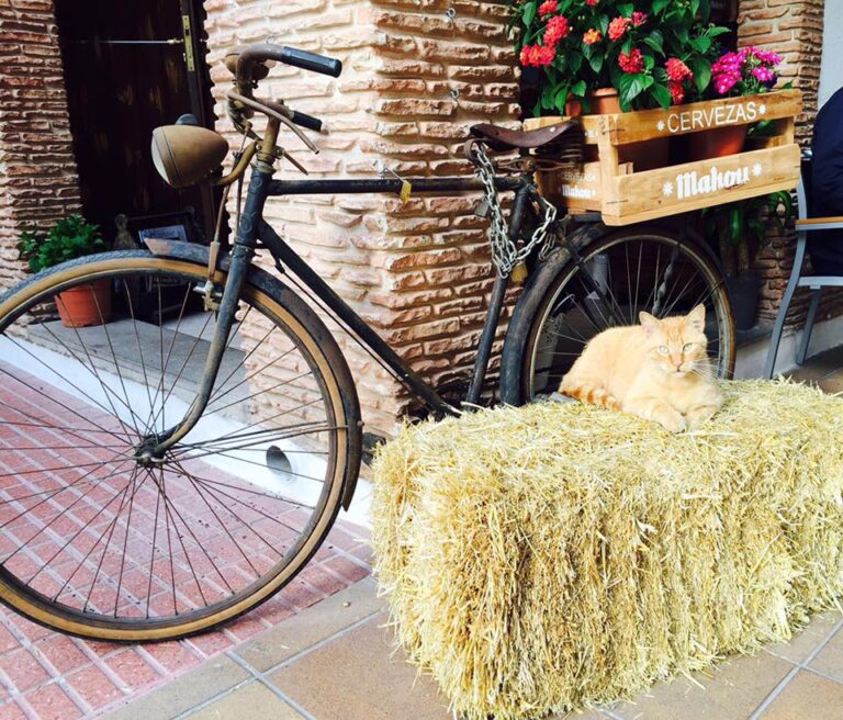 12974307 1778899819000189 5525066614471711580 n 768x656