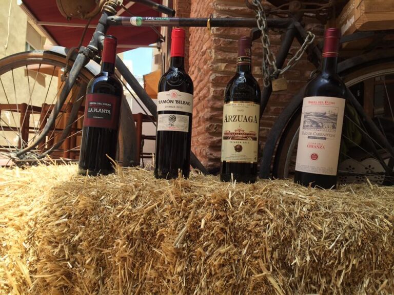 13307294 1796259443930893 3548450534962045306 n 768x576