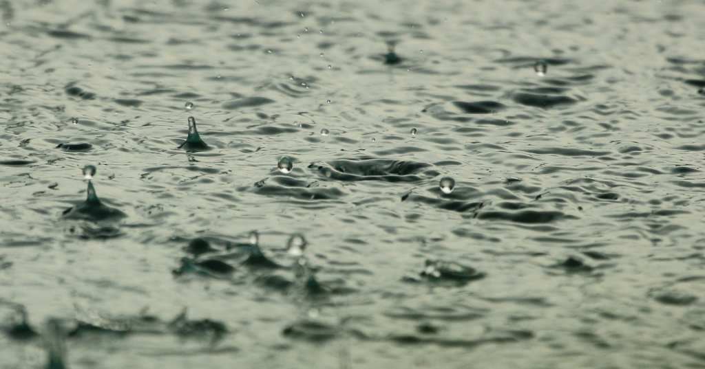 raindrops