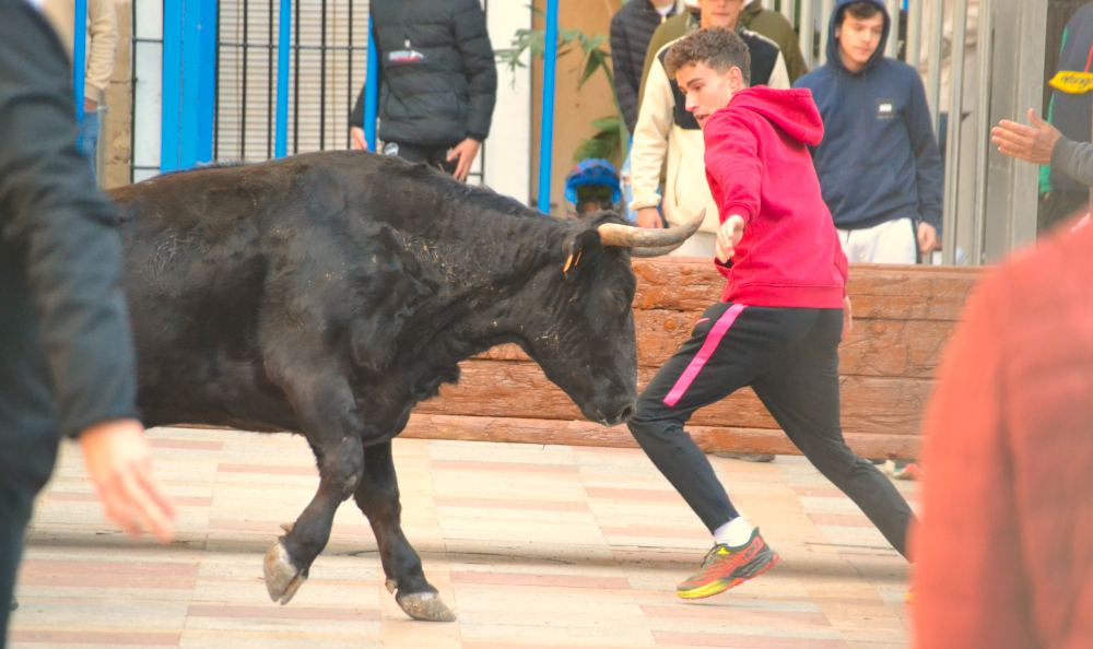 Sant Sebastia 2