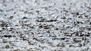 12 NEWS Yellow Alert