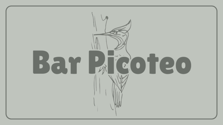 BAR PICOTEO Logo 768x432