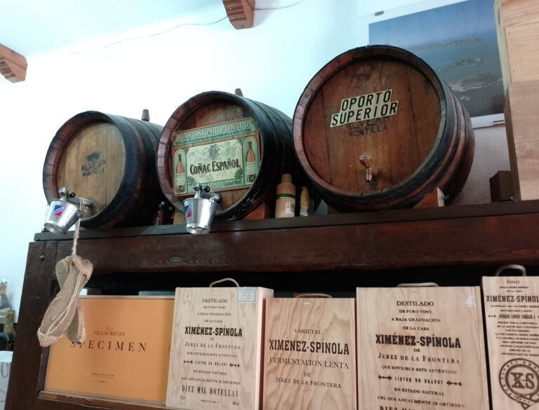 IMG 20250711 WA0002 768x585