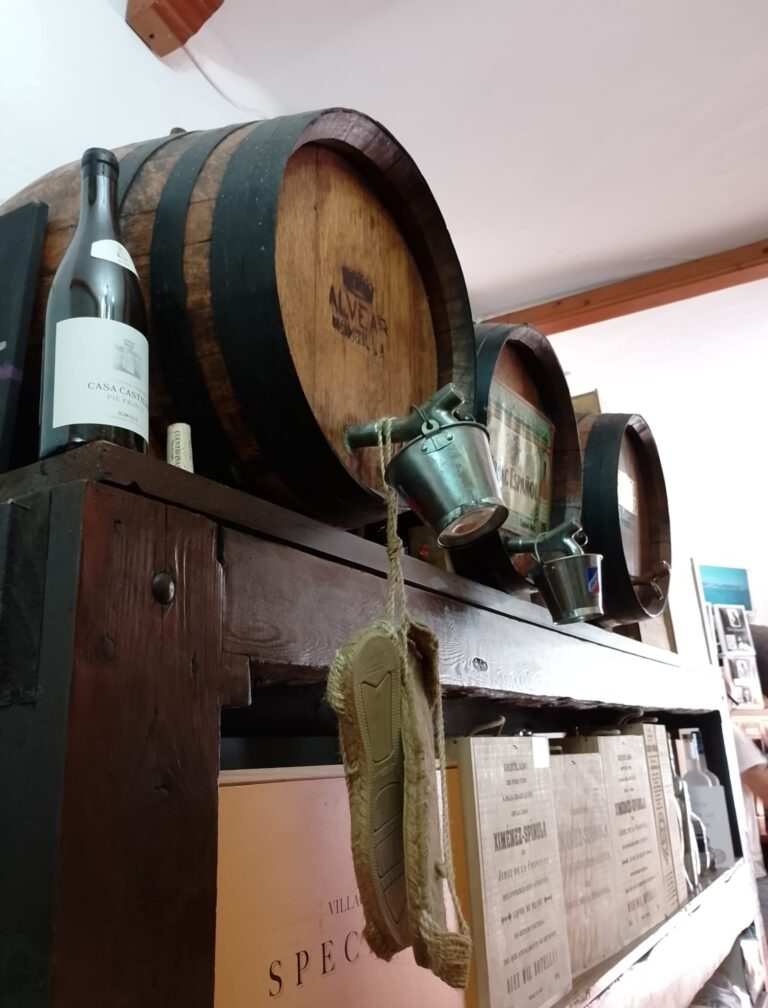 IMG 20250711 WA0004 768x1008