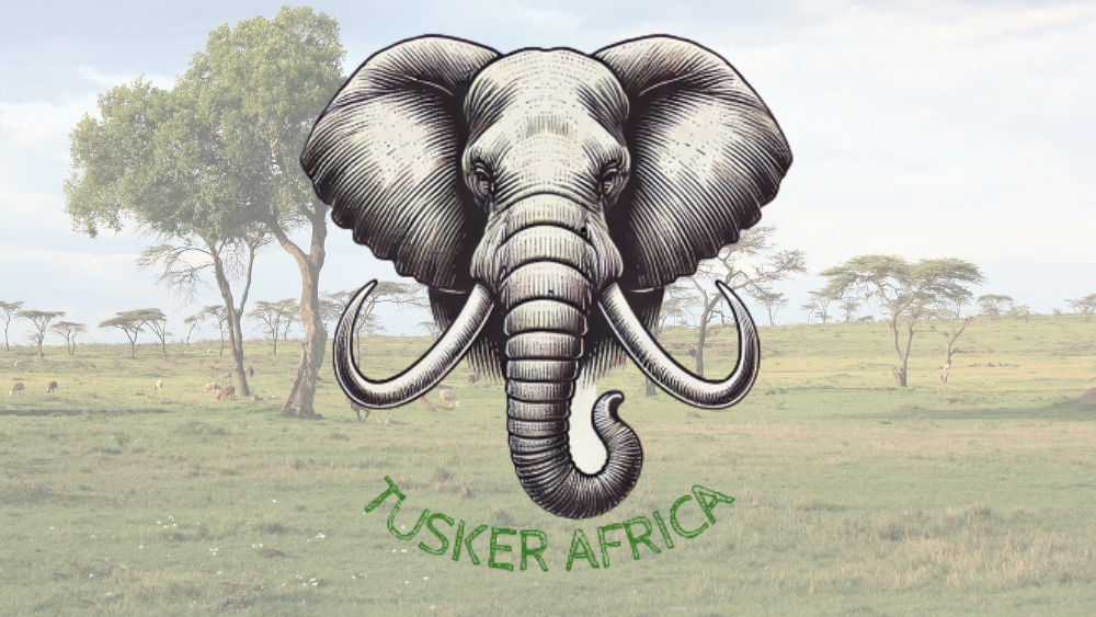 250902 NEWS Tusker Africa 1