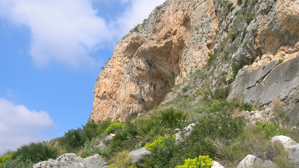 FEATURE Cova Ampla 1