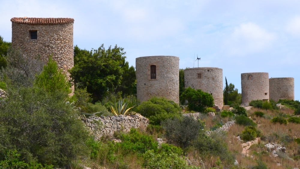 FEATURE Los Molinos 1