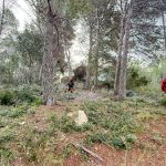 Xàbia Steps Up Winter Wildfire Prevention at Camí Vell de Teulada
