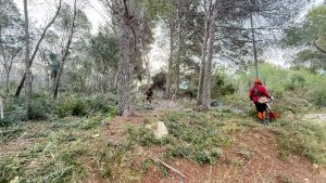 NEWS ARTICLE Fire Prevention 1