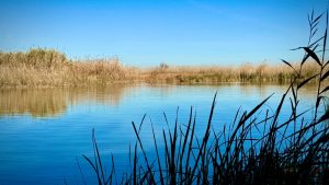 NEWS Albufera 26-02